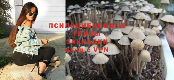 apvp Аркадак