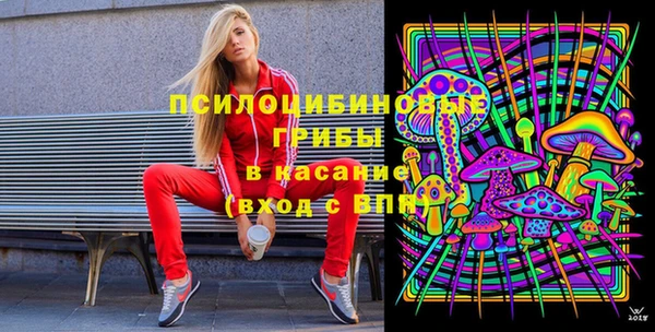 мет Арсеньев