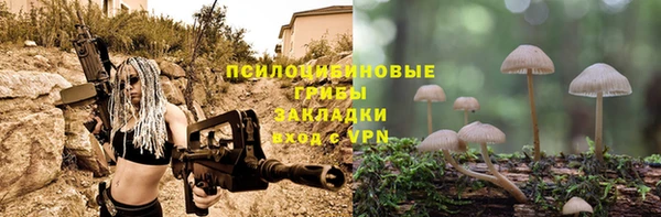 apvp Аркадак