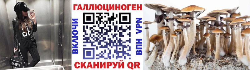 Псилоцибиновые грибы Magic Shrooms  Купить закладки  Минусинск 